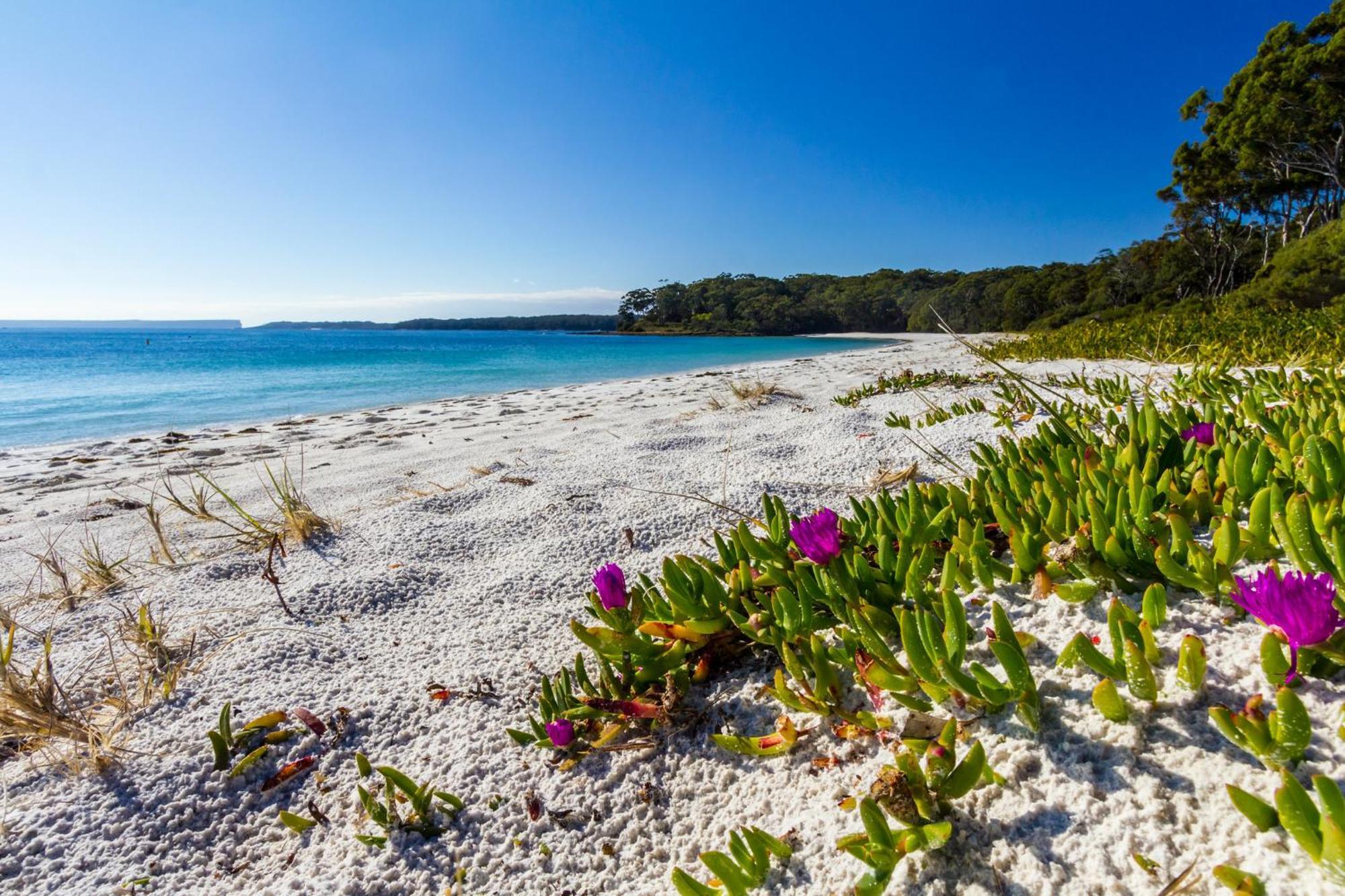 Villa Bay And Bush Jervis Bay Huskisson Exterior foto